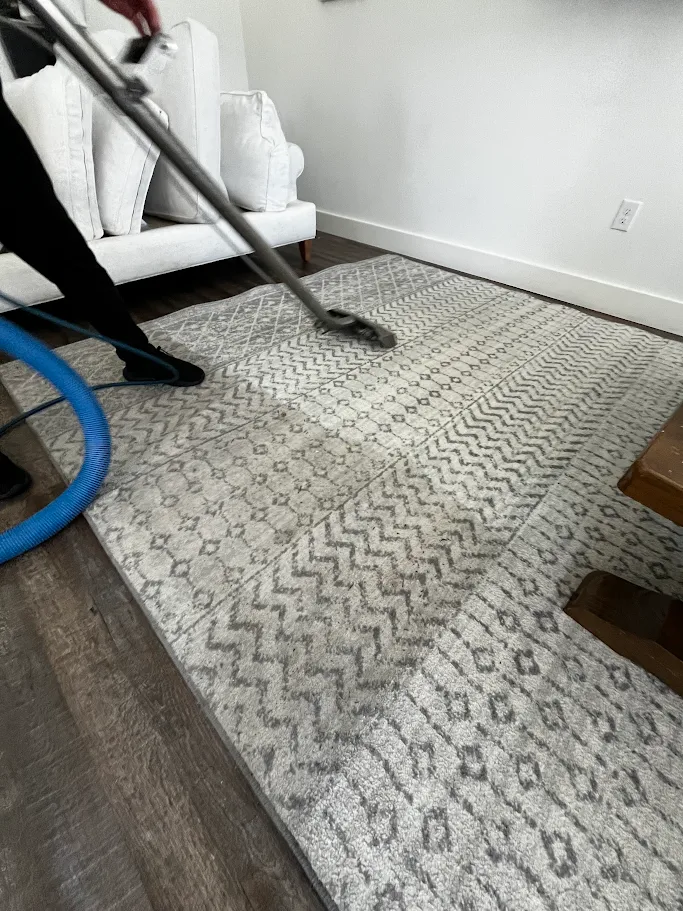 //beachsidecarpetcleaning.com/wp-content/uploads/2026/07/rug-image-3.png